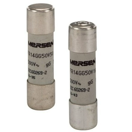 FR14GG50V20P MERSEN