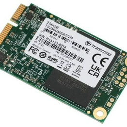 Transcend Information TS256GMSA372M image