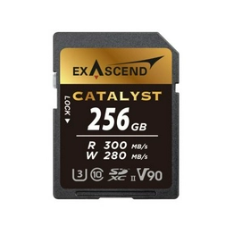 EX256GSDU2 EXASCEND