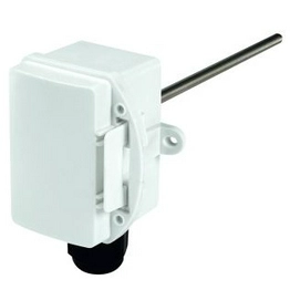 RS 813884 image