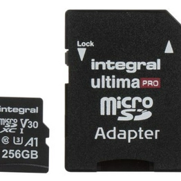 INMSDX256G-100/90V30 Integral Memory