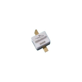 CGH40010P MACOM