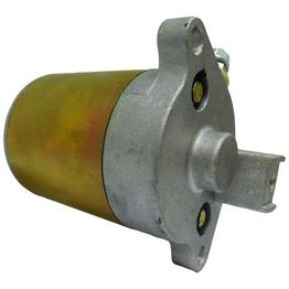 580442STARTER International Lighting