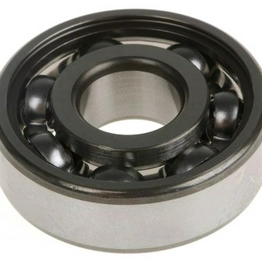 6302 SKF