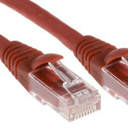 RS 556336 image