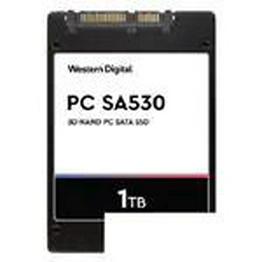 SDASB8Y-256G SanDisk