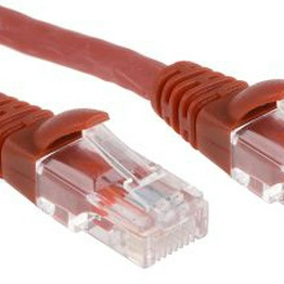 RS 556360 image