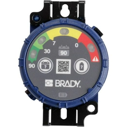 150742 BRADY