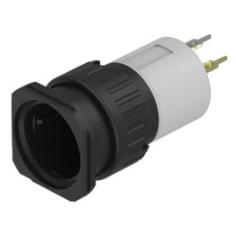 eao 51-486.036F image