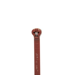 TY24M-1 Thomas & Betts