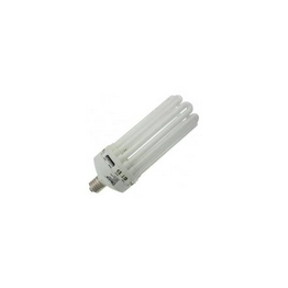 WX-ELZB-7 International Lighting