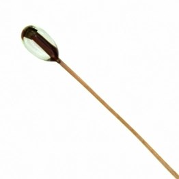 TDK B57560G0103F000 image