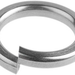 RS 530876 image