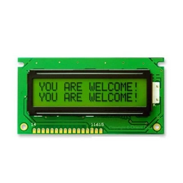 AMC1602GR-B-Y6NFDY Orient Display