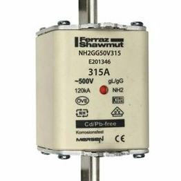 MERSEN K219820 / NH2GG50V315-1 image