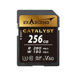 EX256GSDV60 EXASCEND