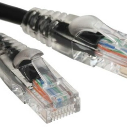 RS 557519 image