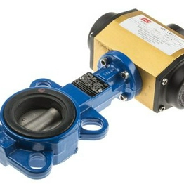 RS 7998793 image