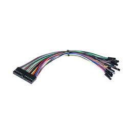 310-099 DIGILENT