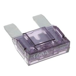 Littelfuse 0MAX100.HXGLO image