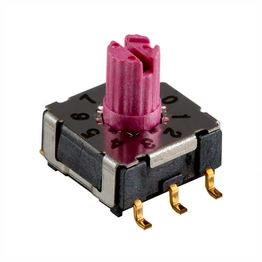 RDS-10S-74385-45A-SMT Same Sky