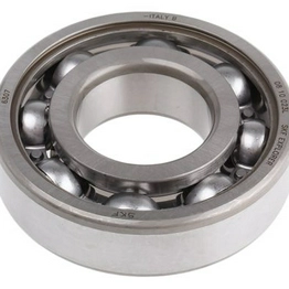 6307 SKF