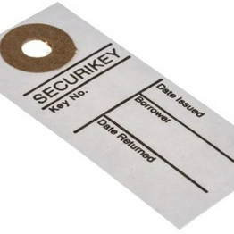 AKSOT0250 SECURIKEY