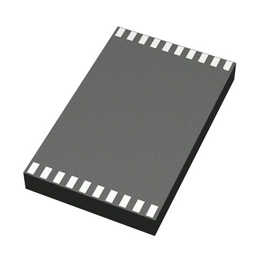 ADE1202ACCZ-RL Analog Devices