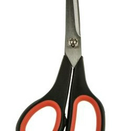 RS 5099948 image