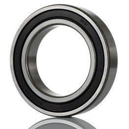 6010-2RSR FAG