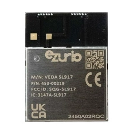453-00219C EZURIO