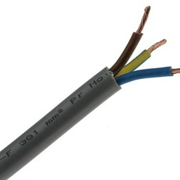 RS 7755889 image