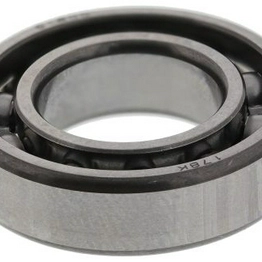 61800 SKF