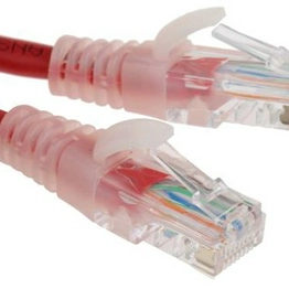 RS 557262 image