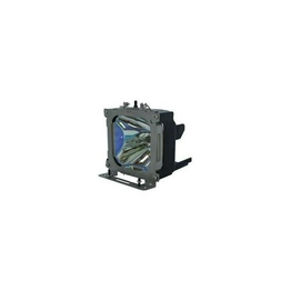 WW-83FX-6 International Lighting