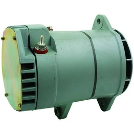 1117276ALTERNATOR International Lighting