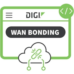 DIGI-SRV-WB-TIER2-1YR DIGI International