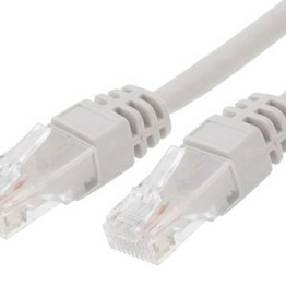 RS 7917019 image