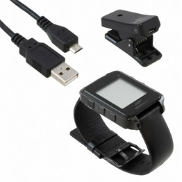 Texas Instruments MSP-WDS430BT2000D image