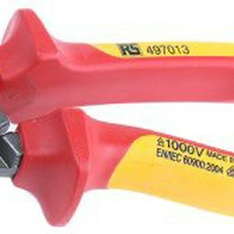 RS 497013 image