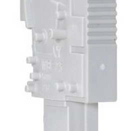 Z1.110.8955.0 - WBF 2,5 1/L/GR Wieland Electric