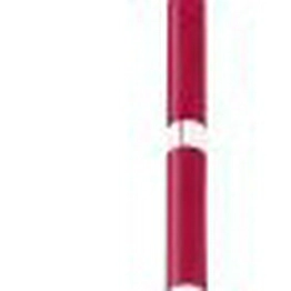 84800017 Xylem