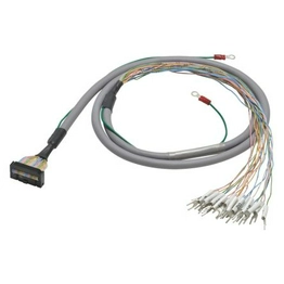 XW2Z-RY100C OMRON