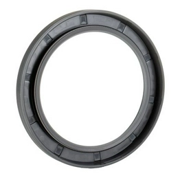SKF 75X100X10 HMS5 RG image