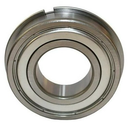 6004-2ZNR SKF