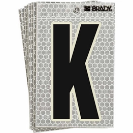 3010-K BRADY