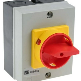 RS 466239 image