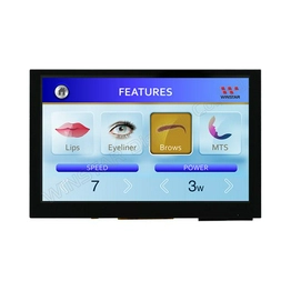 WF50FSYFGDHGV WINSTAR Display