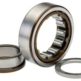 SKF NUP 205 ECP image