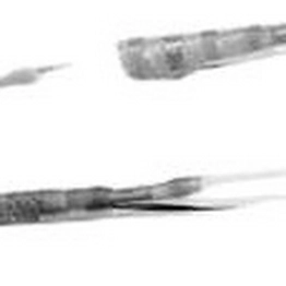 TE Connectivity D-181-2222-90/9 image